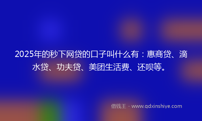 2025年的秒下网贷的口子叫什么有：惠商贷、滴水贷、功夫贷、美团生活费、还呗等。