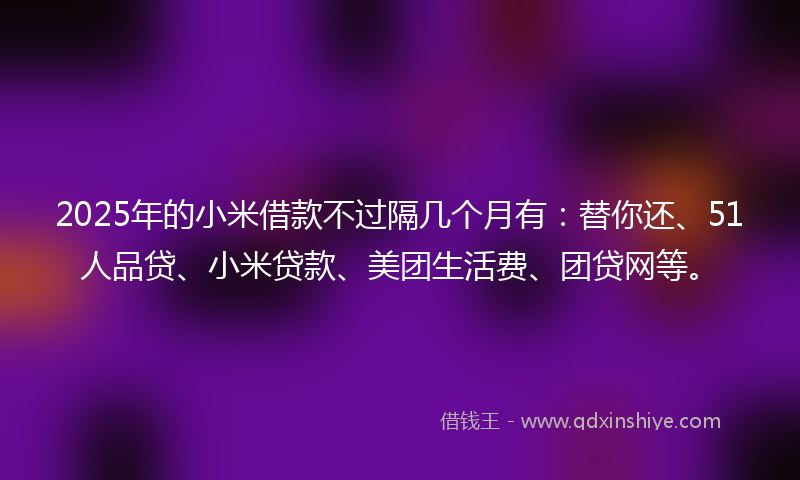 2025年的小米借款不过隔几个月有：替你还、51人品贷、小米贷款、美团生活费、团贷网等。