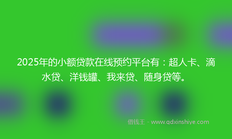 2025年的小额贷款在线预约平台有：超人卡、滴水贷、洋钱罐、我来贷、随身贷等。
