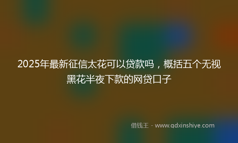2025年最新征信太花可以贷款吗，概括五个无视黑花半夜下款的网贷口子