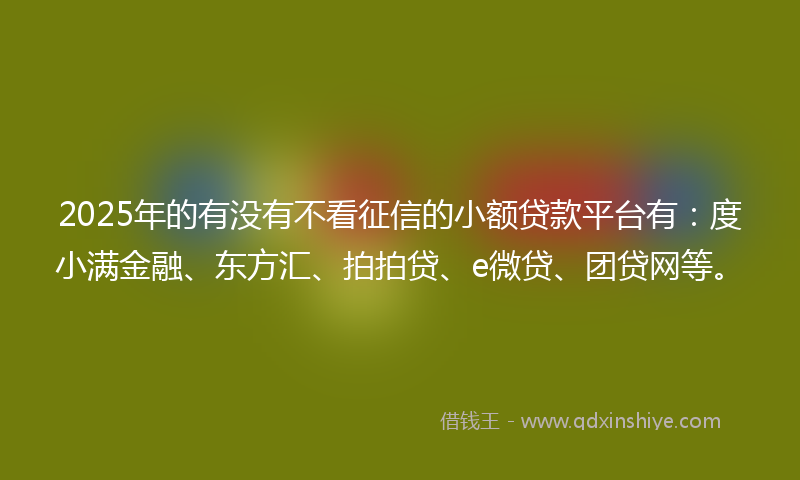2025年的有没有不看征信的小额贷款平台有：度小满金融、东方汇、拍拍贷、e微贷、团贷网等。