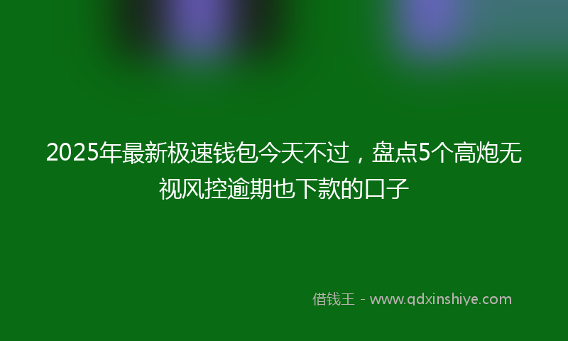 2025年最新极速钱包今天不过，盘点5个高炮无视风控逾期也下款的口子