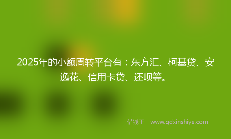2025年的小额周转平台有：东方汇、柯基贷、安逸花、信用卡贷、还呗等。