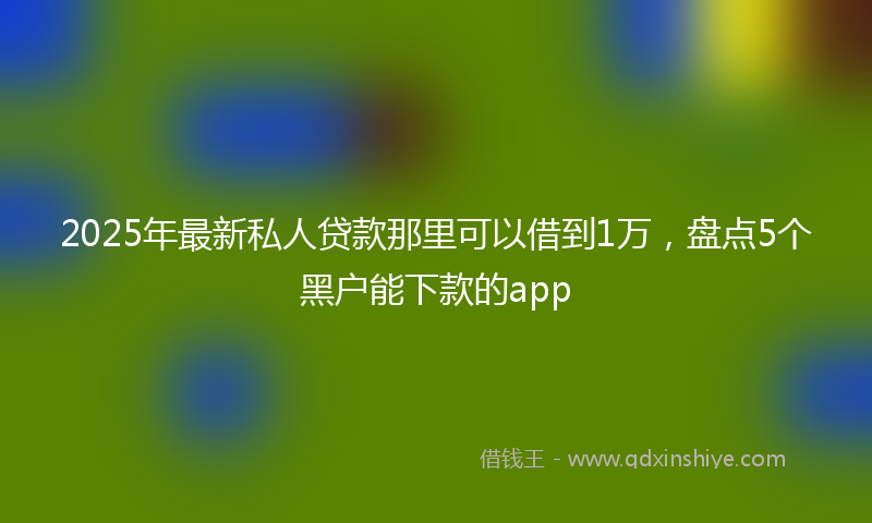 2025年最新私人贷款那里可以借到1万，盘点5个黑户能下款的app