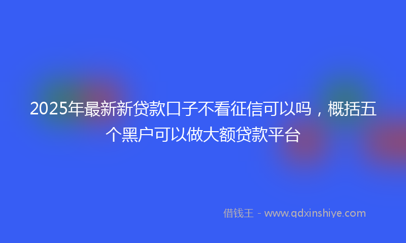 2025年最新新贷款口子不看征信可以吗，概括五个黑户可以做大额贷款平台