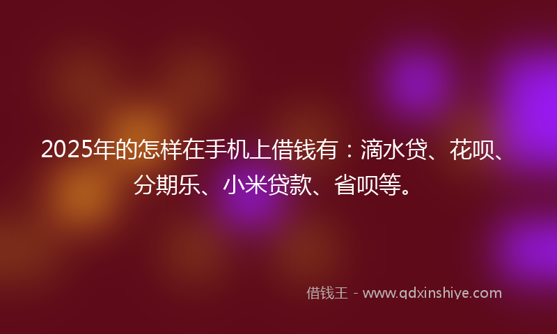 2025年的怎样在手机上借钱有：滴水贷、花呗、分期乐、小米贷款、省呗等。