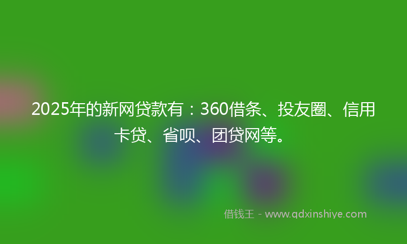 2025年的新网贷款有：360借条、投友圈、信用卡贷、省呗、团贷网等。