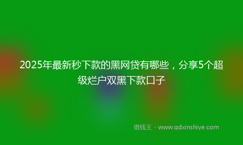 2025年最新秒下款的黑网贷有哪些，分享5个超级烂户双黑下款口子