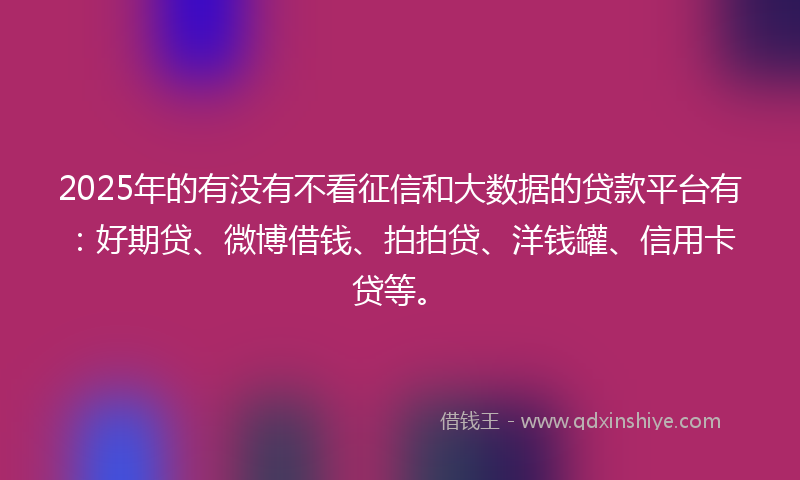 2025年的有没有不看征信和大数据的贷款平台有：好期贷、微博借钱、拍拍贷、洋钱罐、信用卡贷等。
