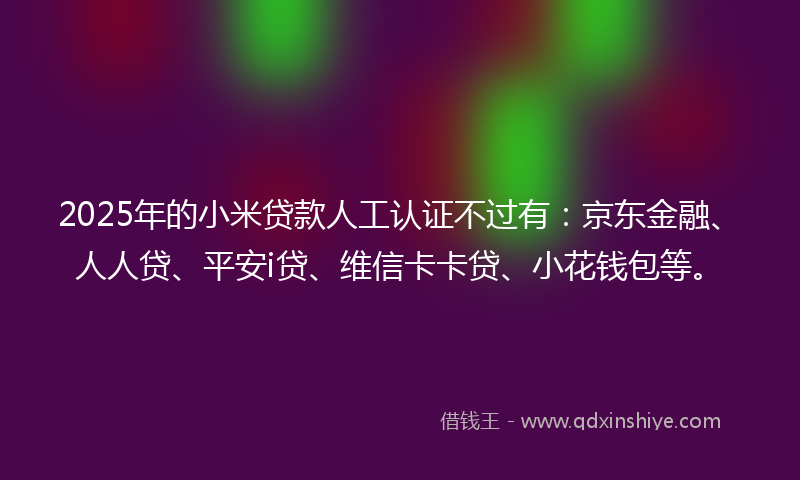 2025年的小米贷款人工认证不过有：京东金融、人人贷、平安i贷、维信卡卡贷、小花钱包等。