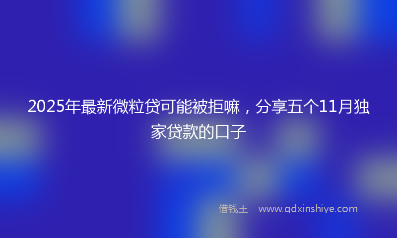 2025年最新微粒贷可能被拒嘛，分享五个11月独家贷款的口子