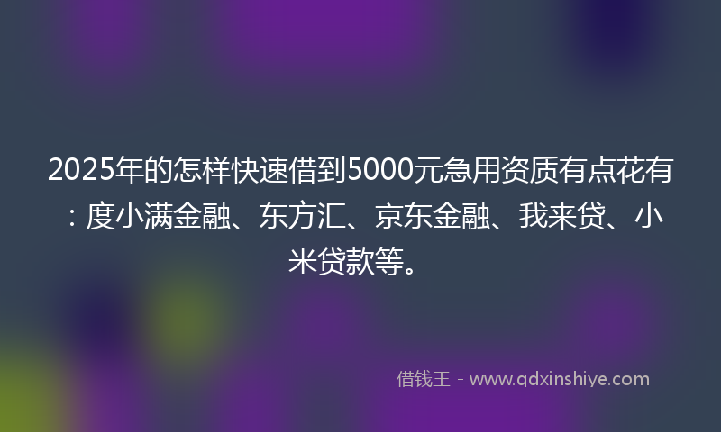 2025年的怎样快速借到5000元急用资质有点花有：度小满金融、东方汇、京东金融、我来贷、小米贷款等。