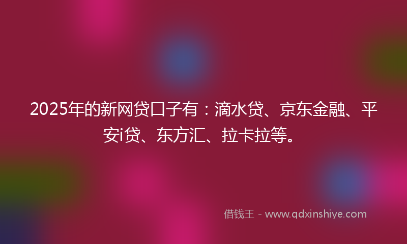 2025年的新网贷口子有：滴水贷、京东金融、平安i贷、东方汇、拉卡拉等。