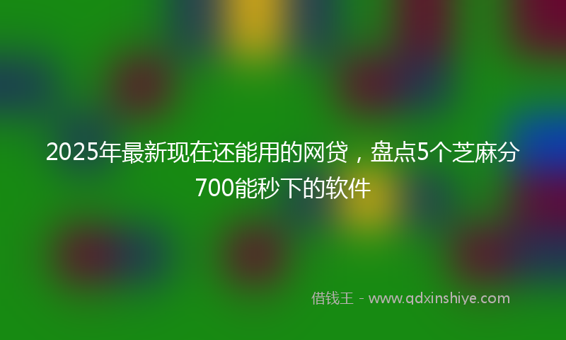 2025年最新现在还能用的网贷，盘点5个芝麻分700能秒下的软件