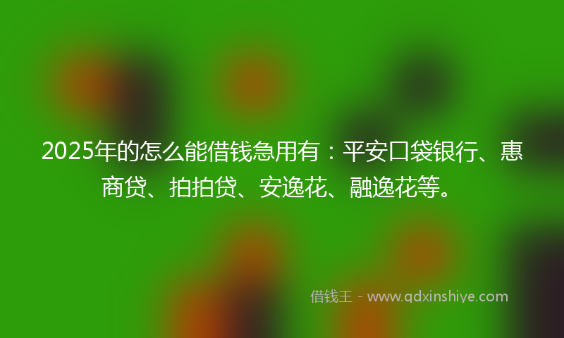 2025年的怎么能借钱急用有：平安口袋银行、惠商贷、拍拍贷、安逸花、融逸花等。
