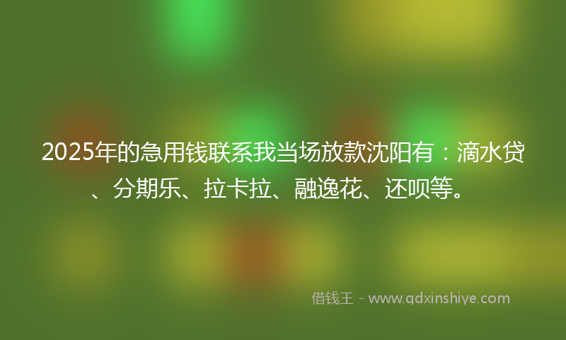 2025年的急用钱联系我当场放款沈阳有：滴水贷、分期乐、拉卡拉、融逸花、还呗等。