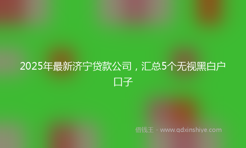 2025年最新济宁贷款公司，汇总5个无视黑白户口子