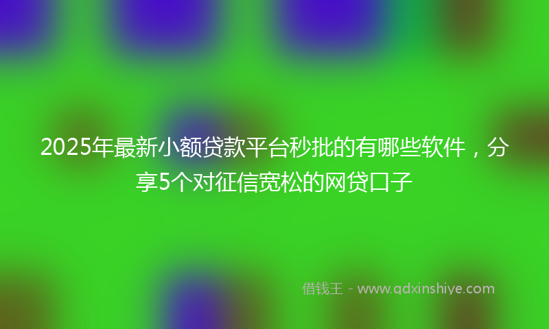 2025年最新小额贷款平台秒批的有哪些软件，分享5个对征信宽松的网贷口子