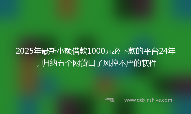 2025年最新小额借款1000元必下款的平台24年，归纳五个网贷口子风控不严的软件