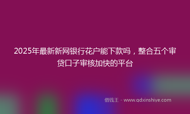 2025年最新新网银行花户能下款吗，整合五个审贷口子审核加快的平台