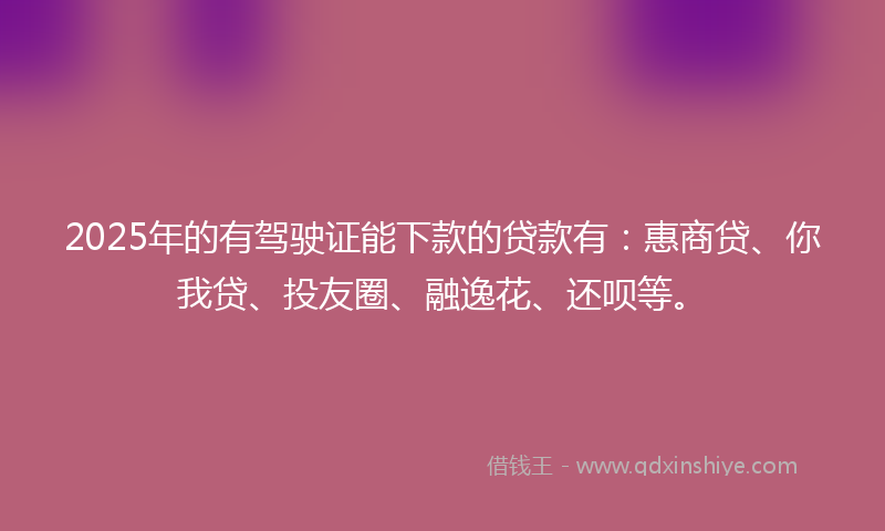 2025年的有驾驶证能下款的贷款有：惠商贷、你我贷、投友圈、融逸花、还呗等。