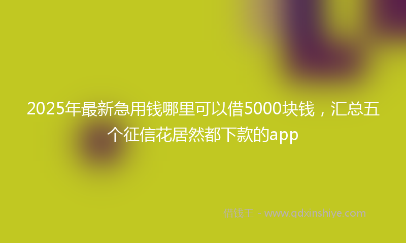 2025年最新急用钱哪里可以借5000块钱，汇总五个征信花居然都下款的app