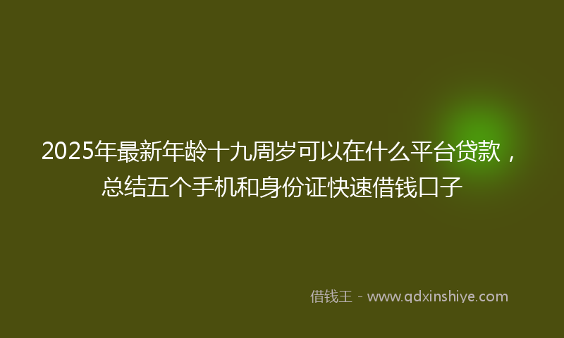 2025年最新年龄十九周岁可以在什么平台贷款，总结五个手机和身份证快速借钱口子