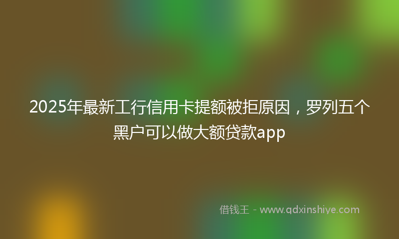 2025年最新工行信用卡提额被拒原因，罗列五个黑户可以做大额贷款app