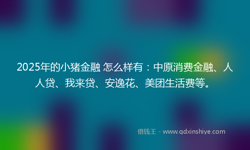 2025年的小猪金融 怎么样有：中原消费金融、人人贷、我来贷、安逸花、美团生活费等。