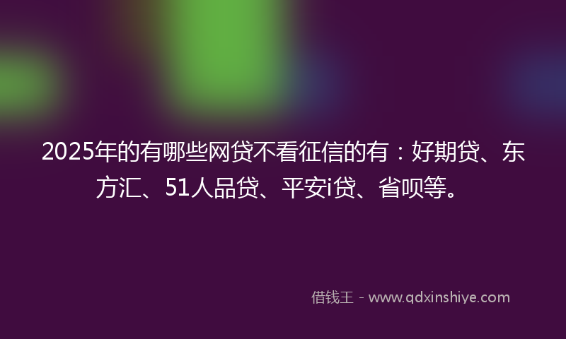 2025年的有哪些网贷不看征信的有：好期贷、东方汇、51人品贷、平安i贷、省呗等。