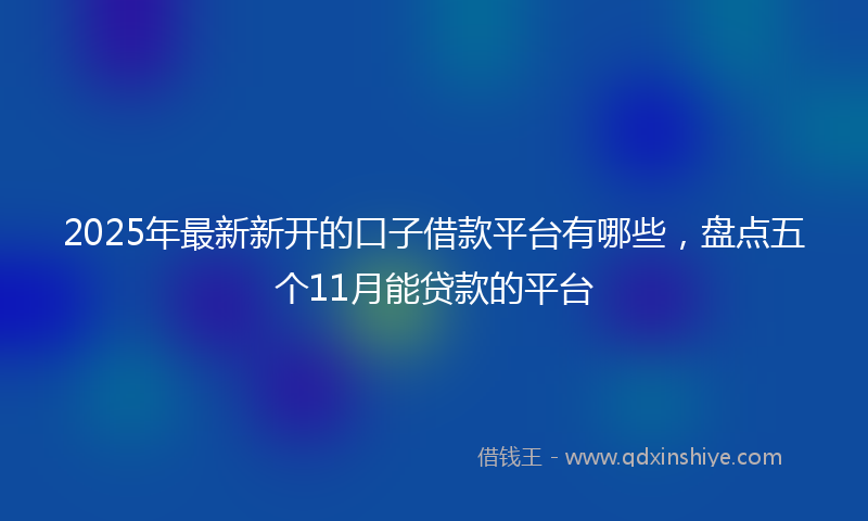 2025年最新新开的口子借款平台有哪些，盘点五个11月能贷款的平台