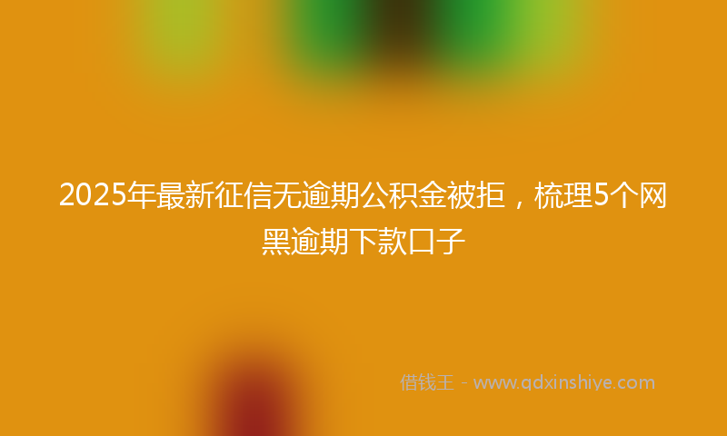 2025年最新征信无逾期公积金被拒，梳理5个网黑逾期下款口子