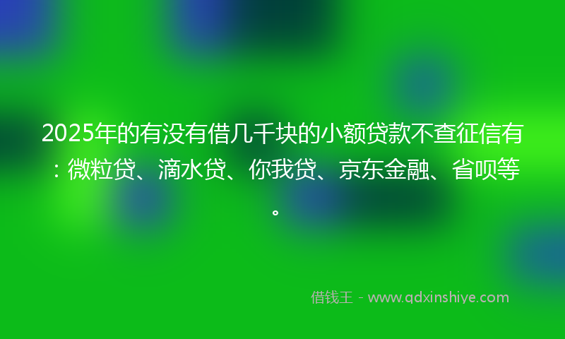 2025年的有没有借几千块的小额贷款不查征信有：微粒贷、滴水贷、你我贷、京东金融、省呗等。