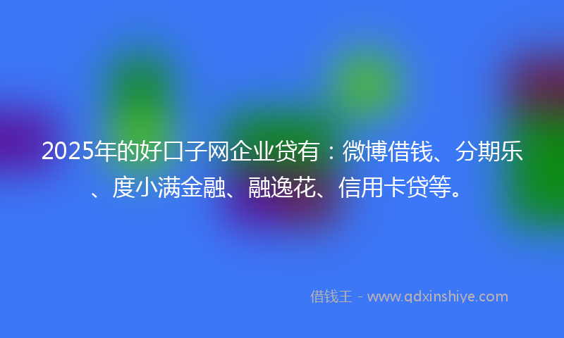 2025年的好口子网企业贷有：微博借钱、分期乐、度小满金融、融逸花、信用卡贷等。