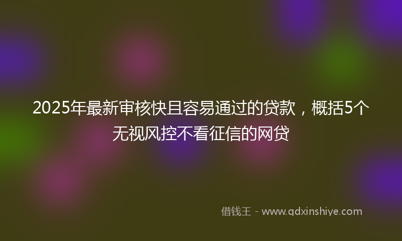 2025年最新审核快且容易通过的贷款，概括5个无视风控不看征信的网贷
