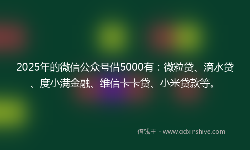 2025年的微信公众号借5000有：微粒贷、滴水贷、度小满金融、维信卡卡贷、小米贷款等。