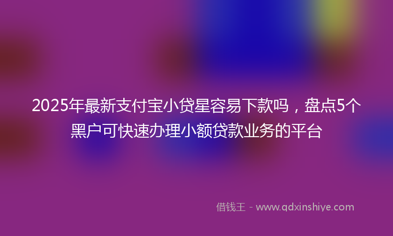 2025年最新支付宝小贷星容易下款吗，盘点5个黑户可快速办理小额贷款业务的平台