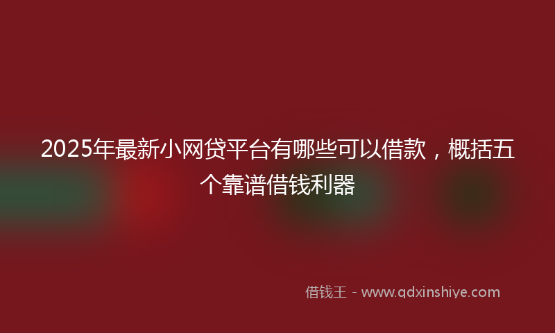 2025年最新小网贷平台有哪些可以借款，概括五个靠谱借钱利器