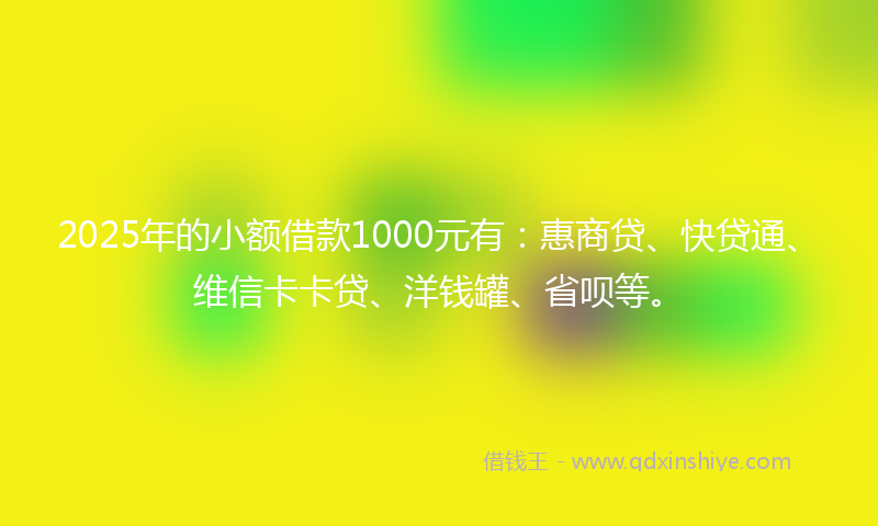 2025年的小额借款1000元有：惠商贷、快贷通、维信卡卡贷、洋钱罐、省呗等。