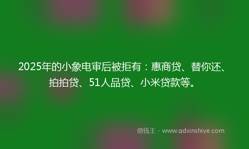 2025年的小象电审后被拒有：惠商贷、替你还、拍拍贷、51人品贷、小米贷款等。