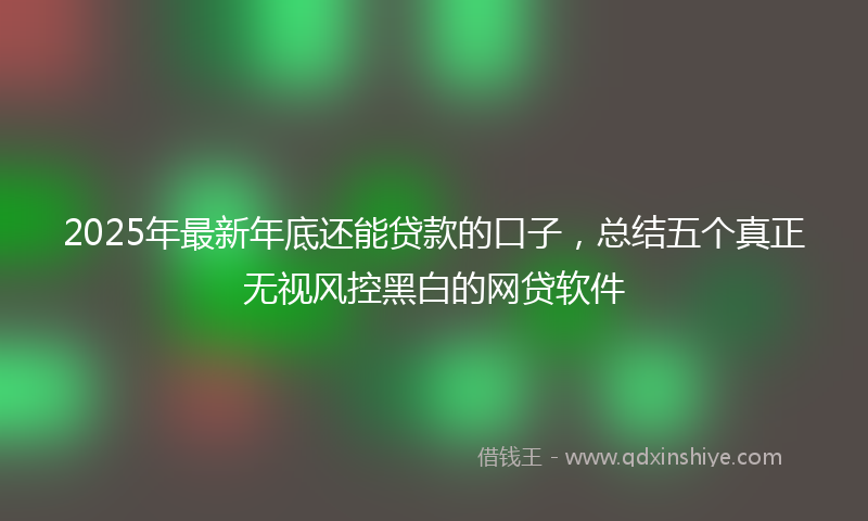 2025年最新年底还能贷款的口子，总结五个真正无视风控黑白的网贷软件