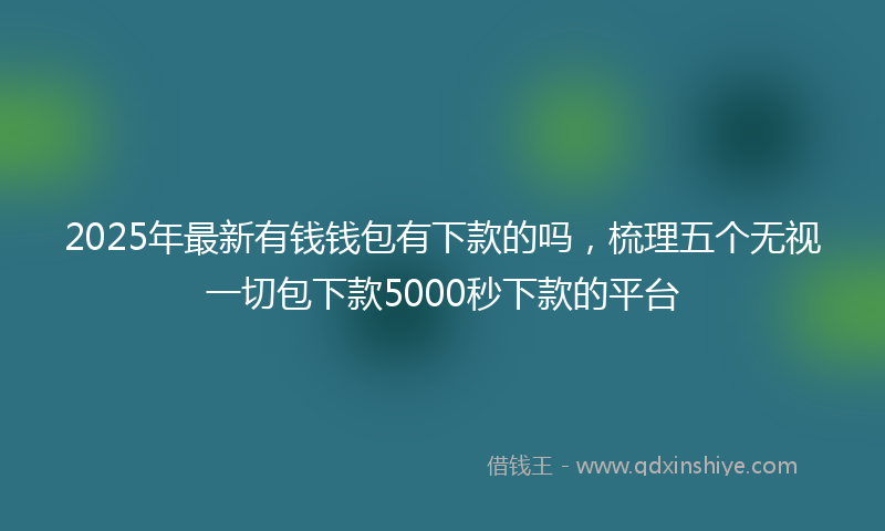 2025年最新有钱钱包有下款的吗，梳理五个无视一切包下款5000秒下款的平台