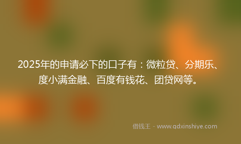 2025年的申请必下的口子有：微粒贷、分期乐、度小满金融、百度有钱花、团贷网等。