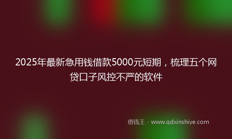 2025年最新急用钱借款5000元短期，梳理五个网贷口子风控不严的软件