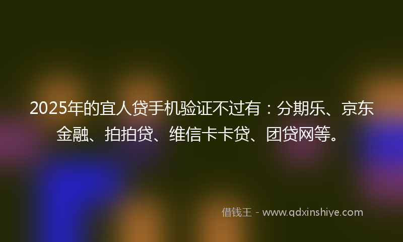 2025年的宜人贷手机验证不过有：分期乐、京东金融、拍拍贷、维信卡卡贷、团贷网等。