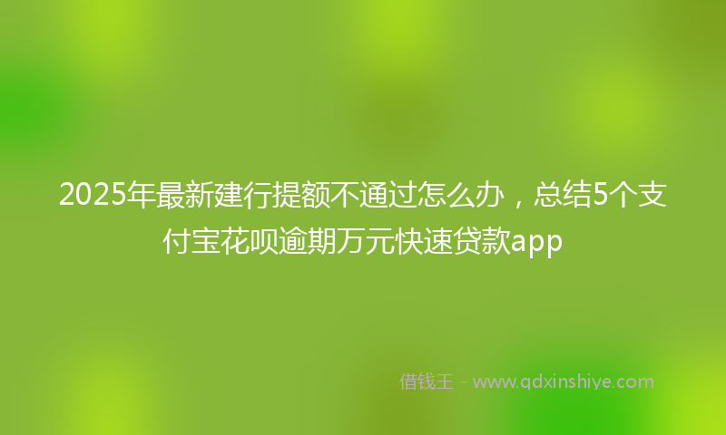 2025年最新建行提额不通过怎么办，总结5个支付宝花呗逾期万元快速贷款app