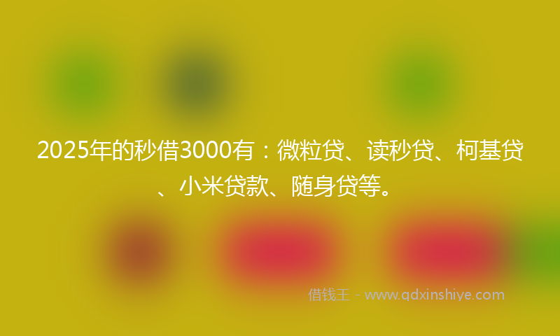 2025年的秒借3000有：微粒贷、读秒贷、柯基贷、小米贷款、随身贷等。