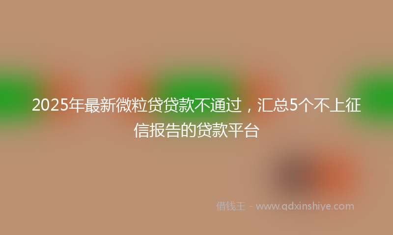 2025年最新微粒贷贷款不通过，汇总5个不上征信报告的贷款平台