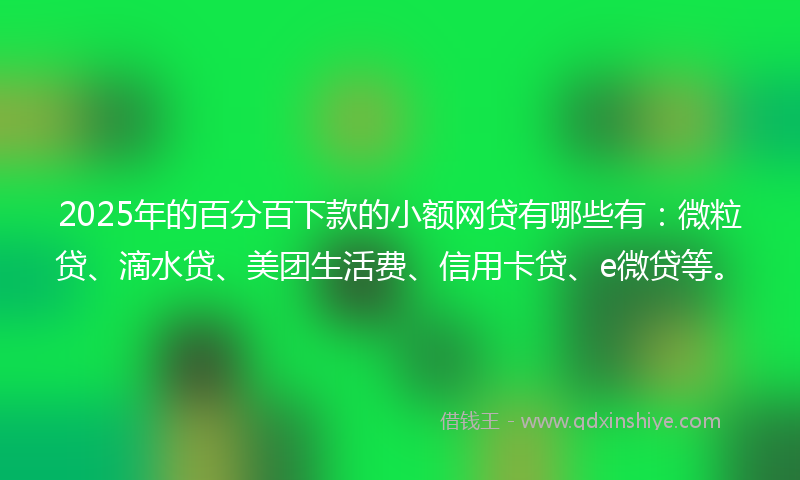 2025年的百分百下款的小额网贷有哪些有：微粒贷、滴水贷、美团生活费、信用卡贷、e微贷等。