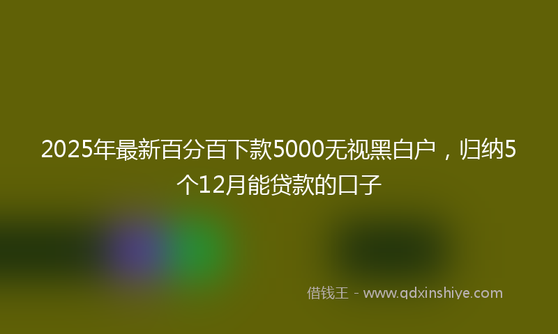 2025年最新百分百下款5000无视黑白户，归纳5个12月能贷款的口子